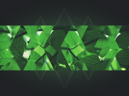 SPRING SHIFT GREEN BAR