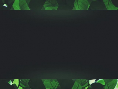 SPRING SHIFT GREEN CONTENT