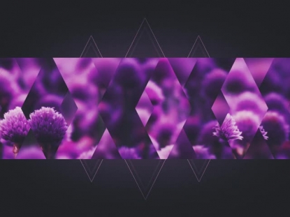 SPRING SHIFT PURPLE BAR