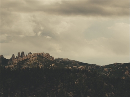VISTAS FOREST MOUNTAINS