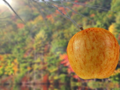 THE APPLE SWAYING LOOP