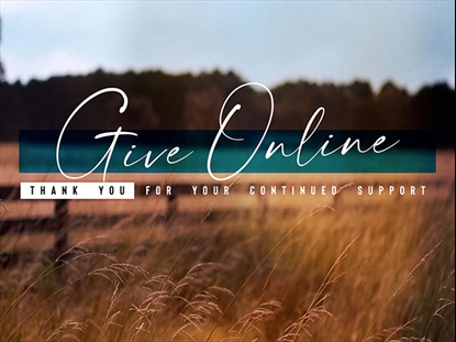 AMBER FIELDS GIVE ONLINE