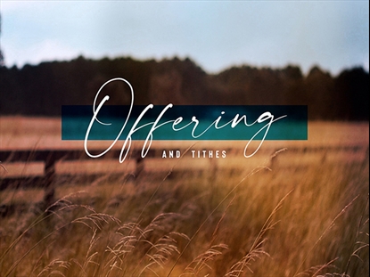 AMBER FIELDS OFFERING