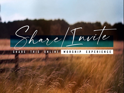 AMBER FIELDS SHARE INVITE