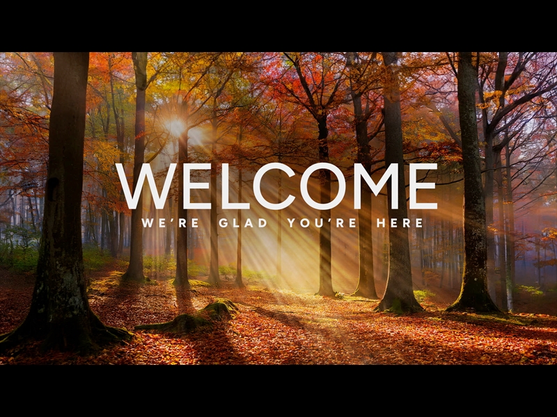 Autumn Light Welcome | Life Scribe Media | WorshipHouse Media