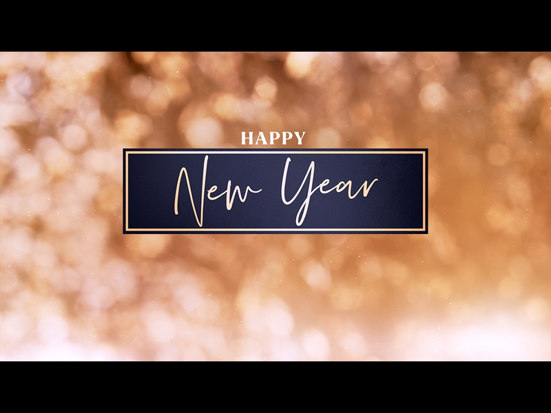 CHRISTMAS LIGHT: NEW YEAR