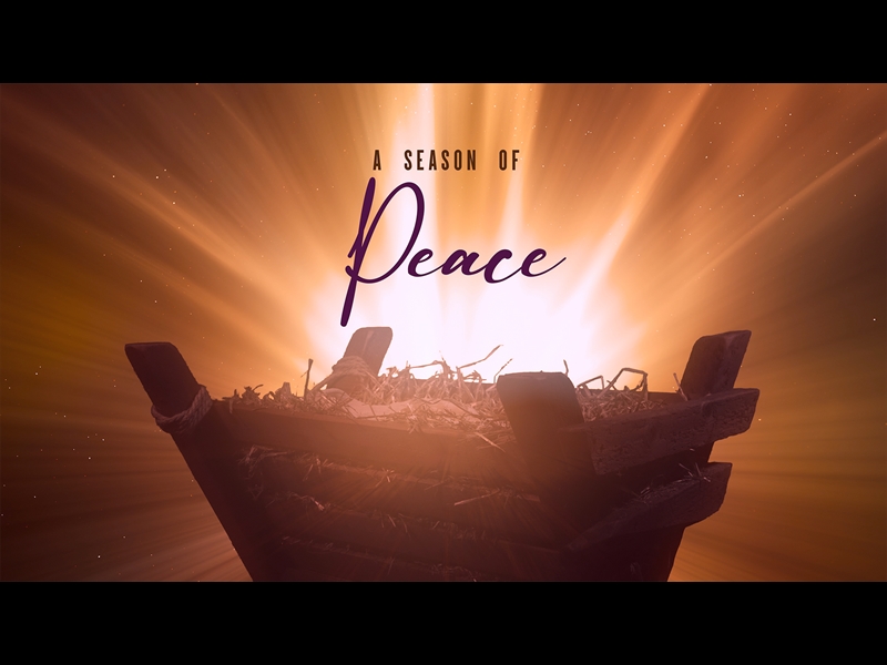 CHRISTMAS MANGER PEACE