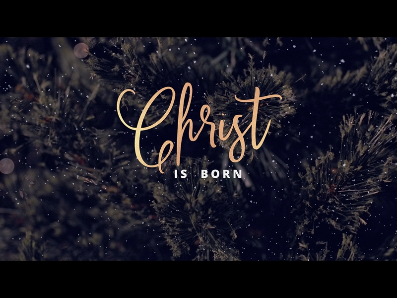 CHRISTMAS TREE CHRIST