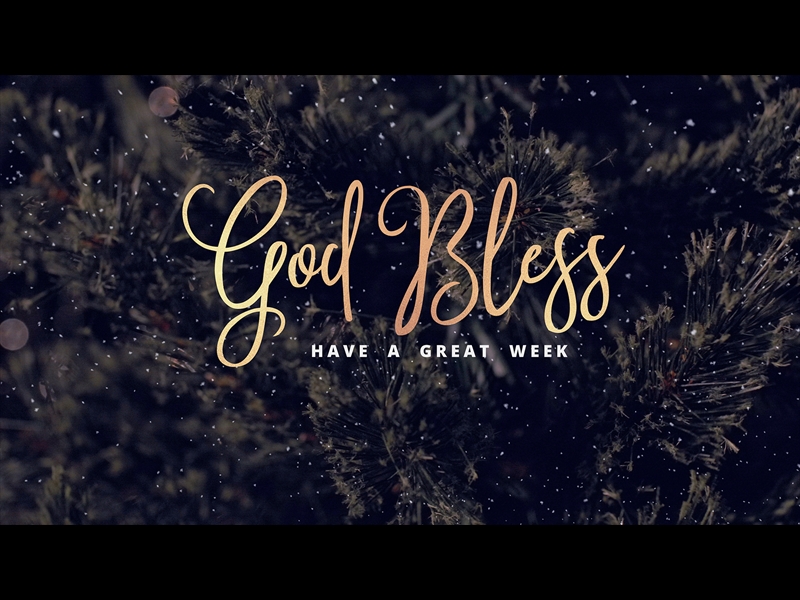 CHRISTMAS TREE CLOSE