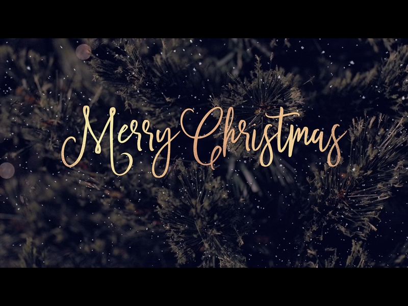 CHRISTMAS TREE MERRY CHRISTMAS