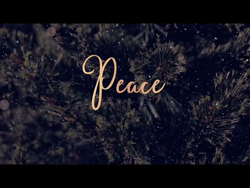 CHRISTMAS TREE PEACE