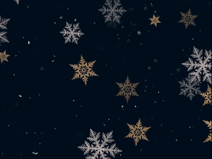 CHRISTMAS SNOWFLAKES 12