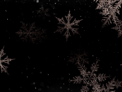 CHRISTMAS SNOWFLAKES 13