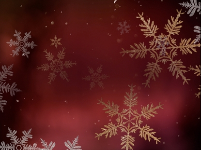 CHRISTMAS SNOWFLAKES 5
