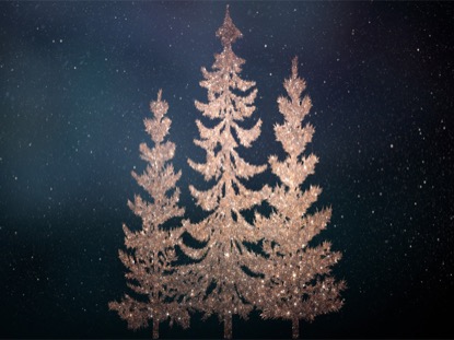 CHRISTMAS SPARKLE 10