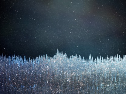 CHRISTMAS SPARKLE 12