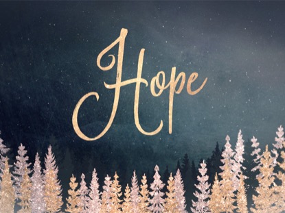 CHRISTMAS SPARKLE HOPE