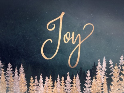 CHRISTMAS SPARKLE JOY