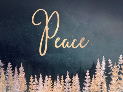 CHRISTMAS SPARKLE PEACE