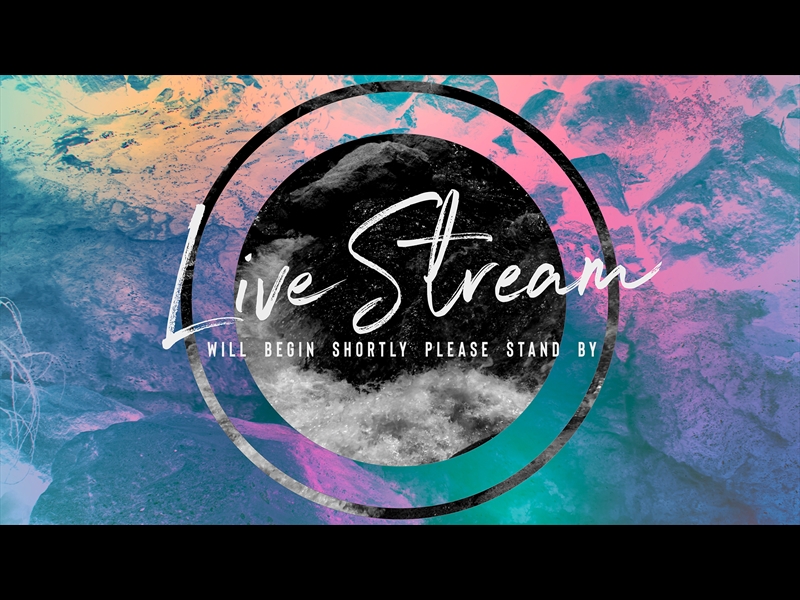 EL DORADO REMIX LIVE STREAM MOTION