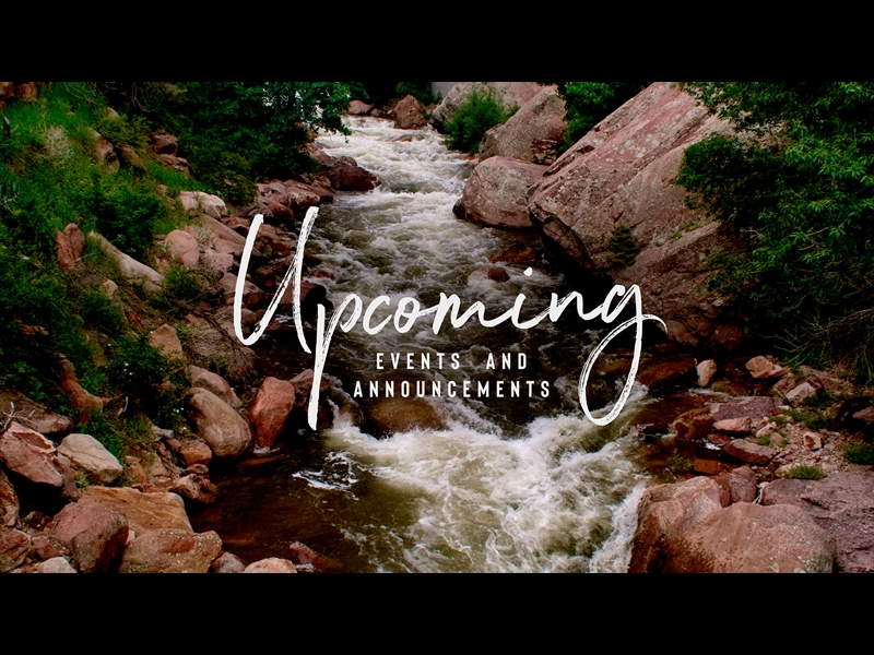 EL DORADO UPCOMING MOTION