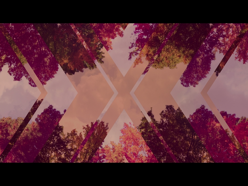 Fall Trees 7 Remix | Life Scribe Media | WorshipHouse Media