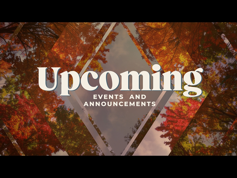 Fall Trees Upcoming | Life Scribe Media | WorshipHouse Media