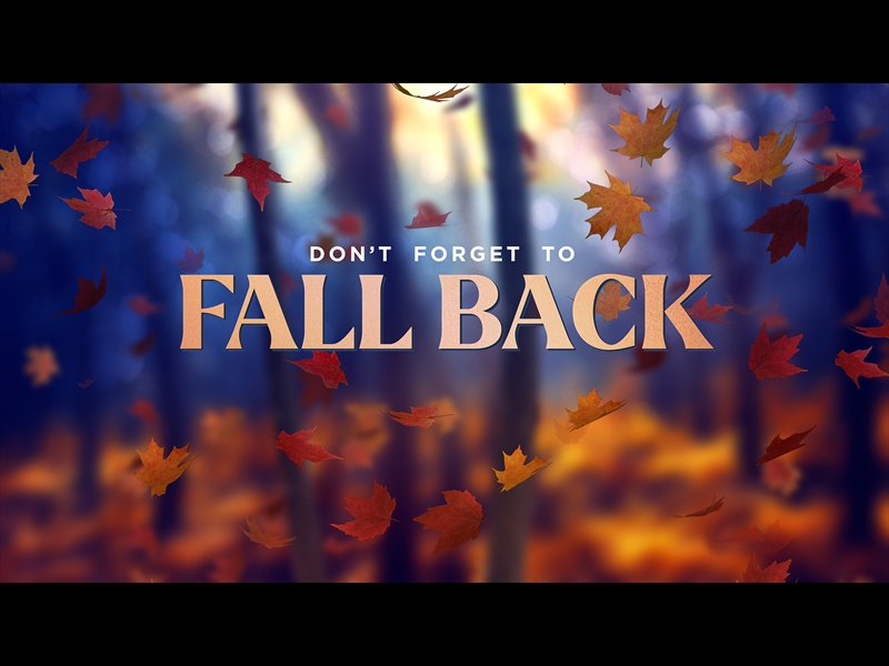 FALL WOODS FALL BACK