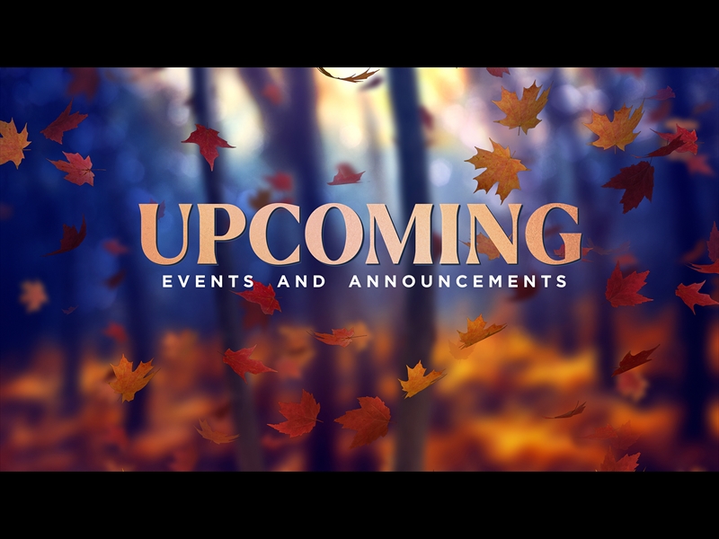 FALL WOODS UPCOMING