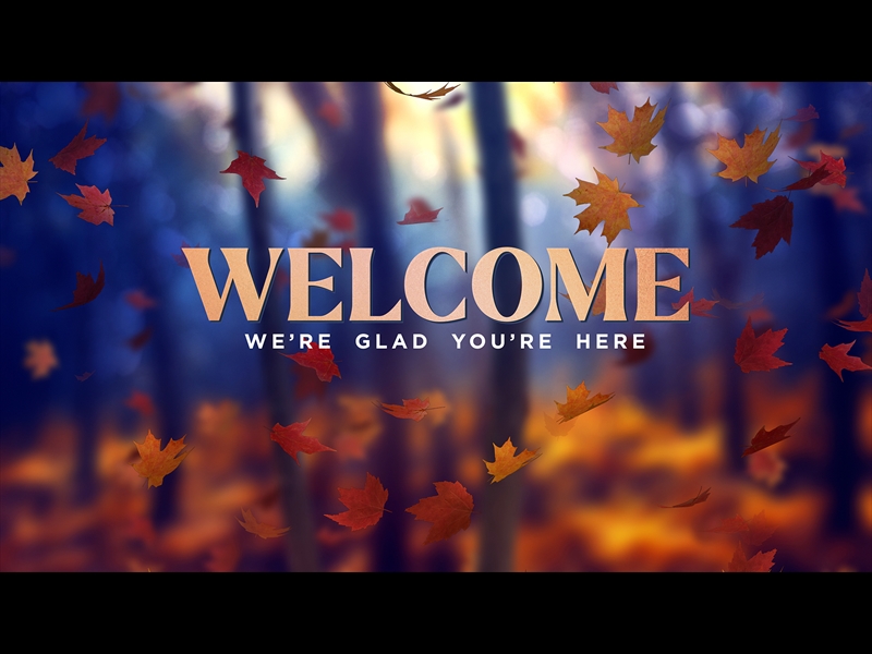 FALL WOODS WELCOME