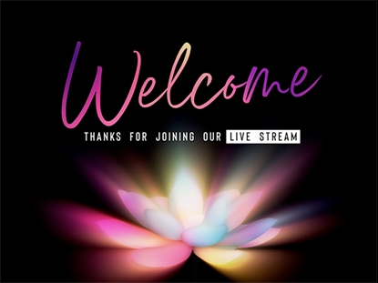 FIREFLOWER STREAM WELCOME