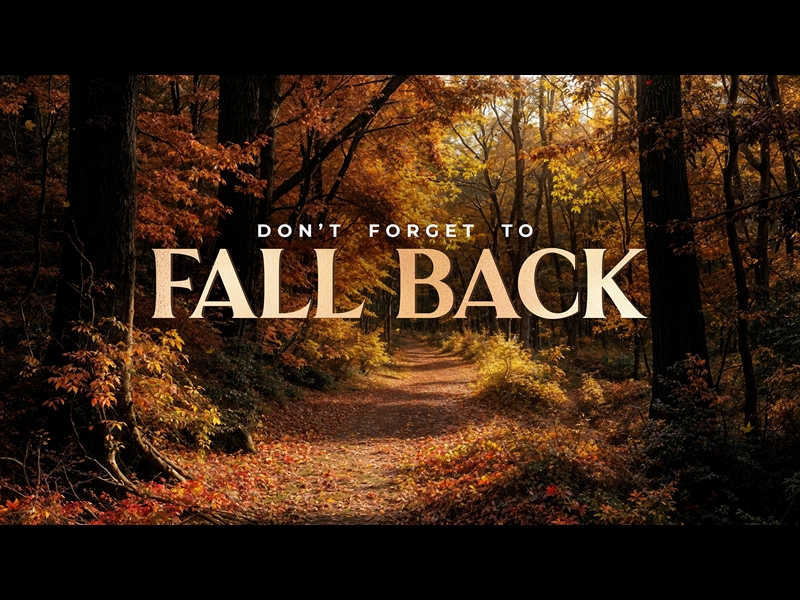 Forest Fall Fall Back | Life Scribe Media | WorshipHouse Media
