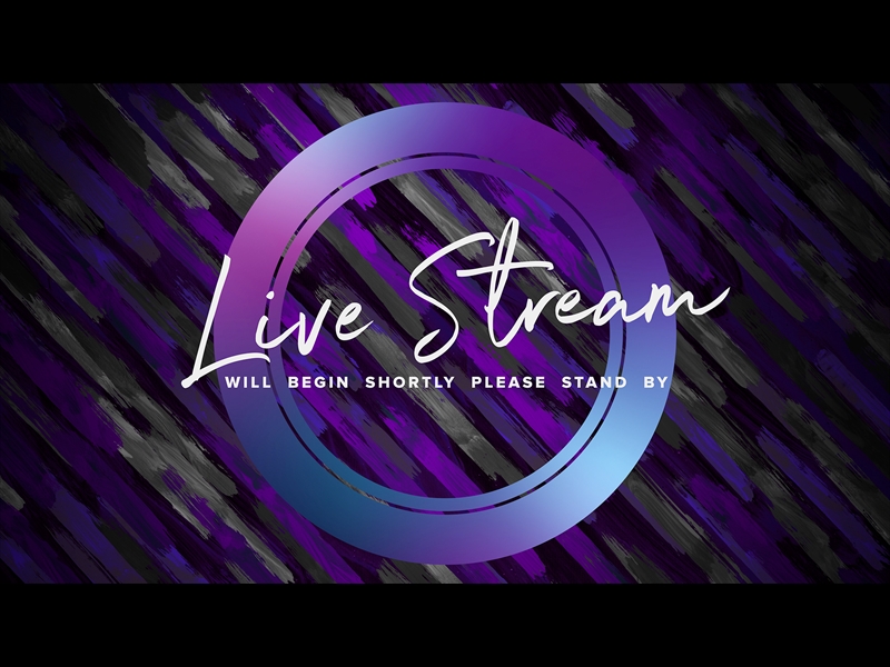 LENT COLOR BRUSH LIVE STREAM
