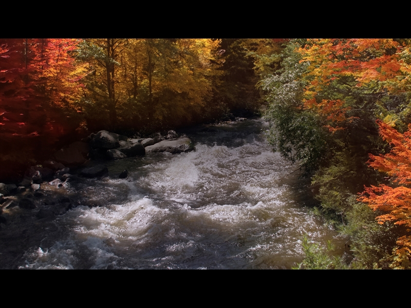 Page 2 Trending Worship Backgrounds Loops for Church WorshipHouse