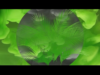 PALM SUNDAY COLORMIX 1