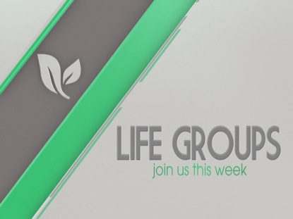 PARALLELS LIFE GROUPS