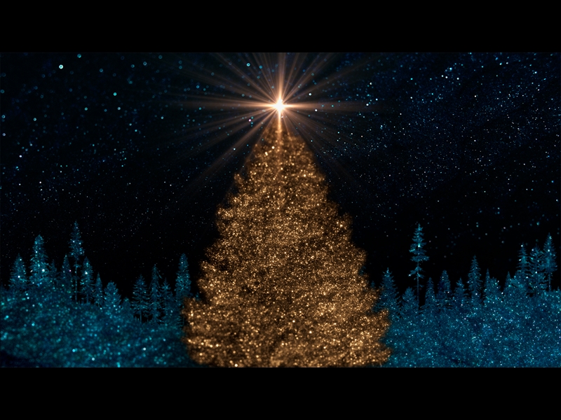 SPARKLING CHRISTMAS 1