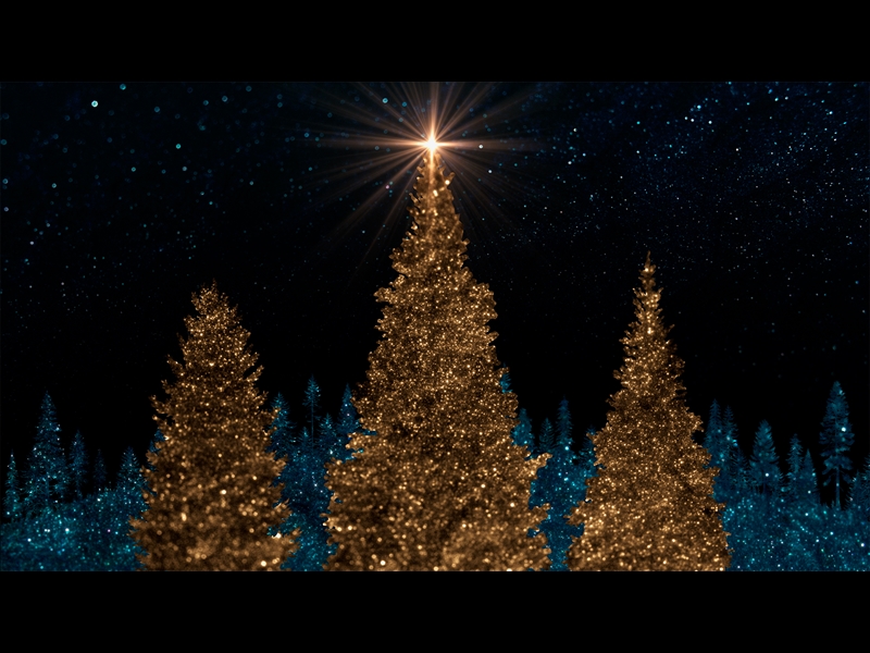 SPARKLING CHRISTMAS 3