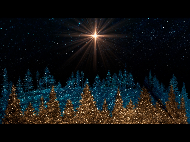 SPARKLING CHRISTMAS 4