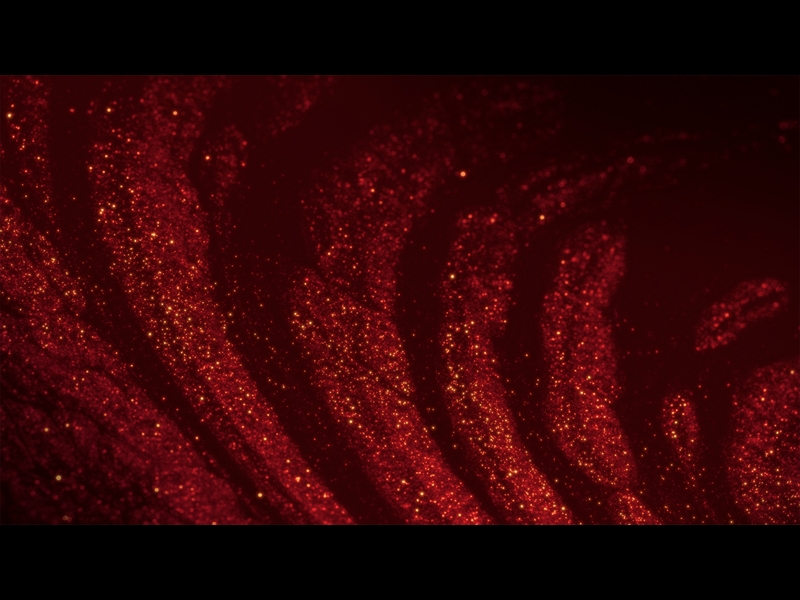 SPARKLING CHRISTMAS 8