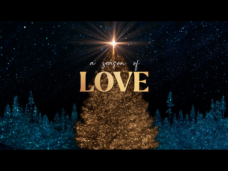 SPARKLING CHRISTMAS LOVE