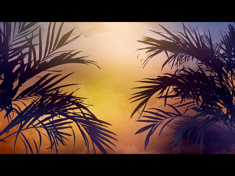 Sun Palms 2 | Life Scribe Media | WorshipHouse Media