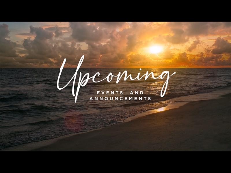 SUNSET BEACH UPCOMING MOTION