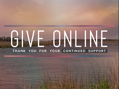 TIDELANDS GIVE ONLINE