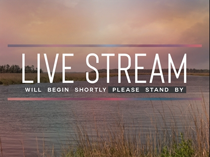TIDELANDS LIVE STREAM