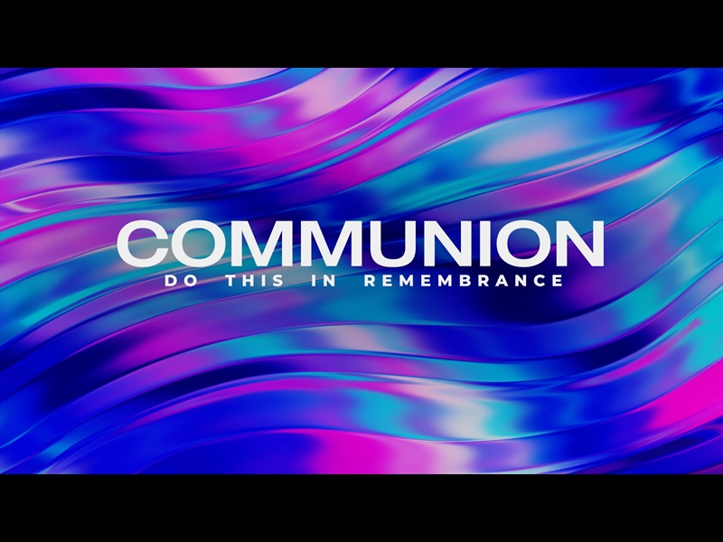 Vibrance Collection | Life Scribe Media | WorshipHouse Media