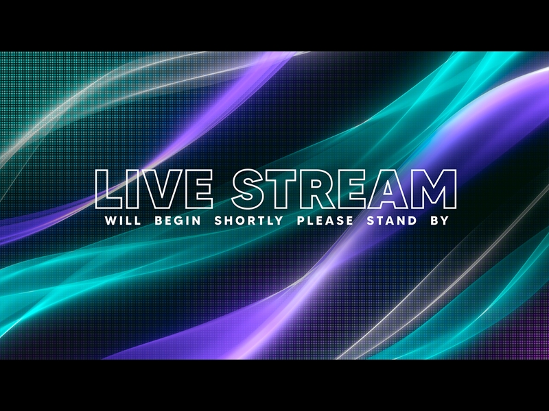 WAVELITE LIVE STREAM