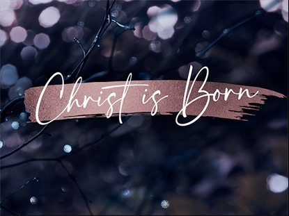 WINTER FROST CHRIST IS BORN