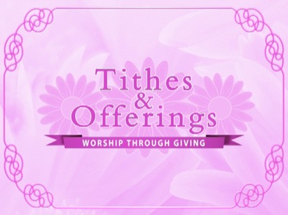 PINK FLORAL TITHES