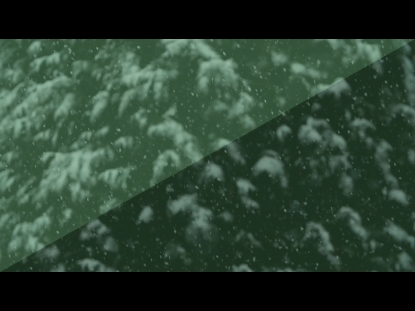 SNOW FALLING ANNOUNCEMENTS